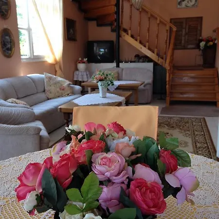 Familia Vendeghaz Guest house